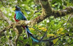 Bird photograph 1