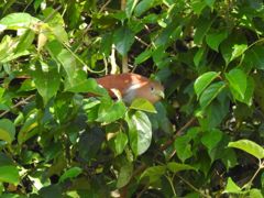 Bird photograph 4